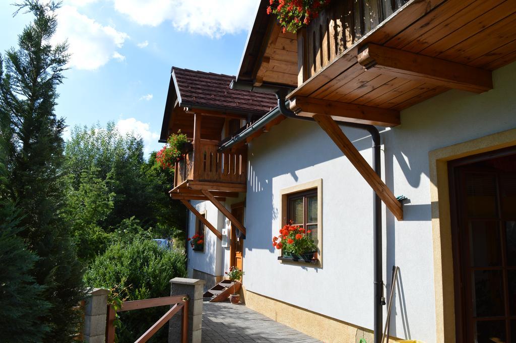 Pension Druhy Domov โนวีบอร์ ภายนอก รูปภาพ